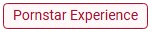 pornstar experience