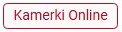 kamerki online