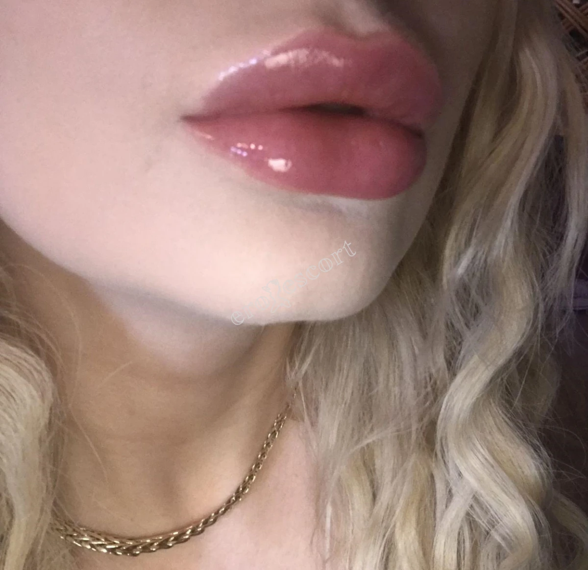 Analna Kotka Lorena